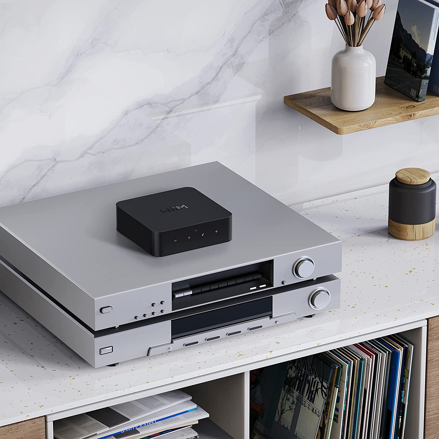 WiiM Pro Hi Res HiFi Streamer / DAC